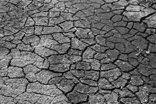 drought-1745153.jpg