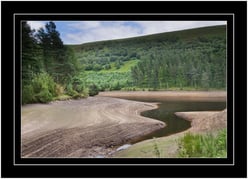 water-nature-photography-wet-green-brown-291703-pxhere.com