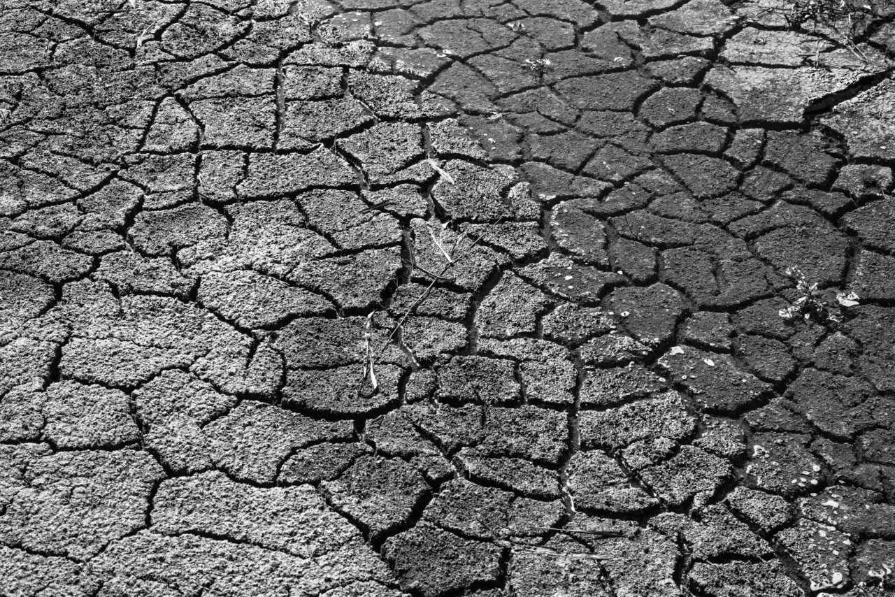 drought-1745153.jpg